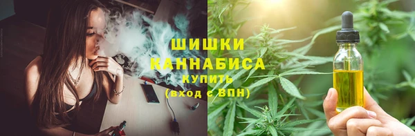амф Алзамай