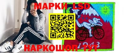 амф Владимир