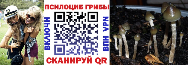 Псилоцибиновые грибы мухоморы Южно-Сахалинск