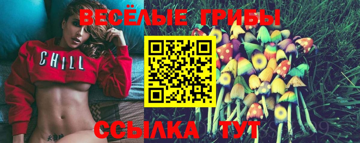 Галлюциногенные грибы прущие грибы  Вход с VPN  Южно-Сахалинск 